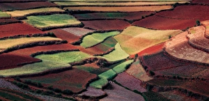 <b class=qtipBold><figcaption>Red Land, Yunnan, China</figcaption></b><br>Dongchuan, a rural area in the northeast of Kunming, is believed that it has the world's most imposing red earth, even more magnificent than that in Rio de Janeiro, Brazil. Because of the warm and humid climate in Yunnan, the Iron oxide in the soil deposited slowly through years and gradually developed an extraordinary reddish brown soil. It is seldom visited by general tourists for its remoteness, however, the land with picturesque scenery is paradise for photography fans.Dongchuan Red Land offers the most attractive colors in China. It is decorated with multi-color crops. Fiery red soil, emerald green barley, golden yellow buckwheat and snow white oil flowers against the floating clouds, ever-changing light and the deep blue sky make a marvelous painting, bringing not only the strongest visual impact. It becomes the mecca for passionate photographers around the China. This is another one of my most visited areas of our photo tours in the late spring and the fall.<br><em>© Xiaoyu Yu</em> Red Land, Yunnan, China