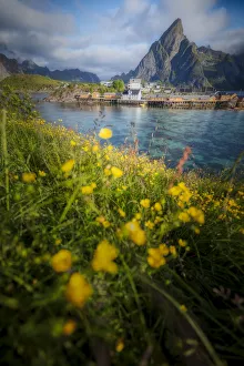 Reine village in the Summer, Lofoten Islands, Norway Reine village in the Summer, Lofoten Islands, Norway