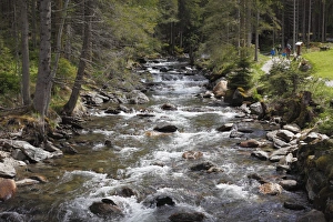 Riesachbach creek, Soelktaeler Nature Park, Schladming Tauern mountains, Upper Styria Riesachbach creek, Soelktaeler Nature Park, Schladming Tauern mountains, Upper Styria