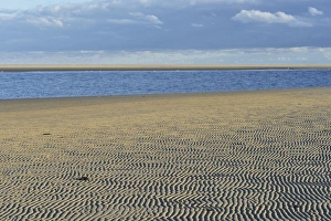 Ripple patterns in front of a tidal creek on the western beach of Spiekeroog, East Frisia Ripple patterns in front of a tidal creek on the western beach of Spiekeroog, East Frisia
