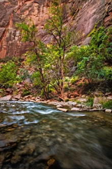 River Walk Zion National Park Virgin River River Walk Zion National Park Virgin River