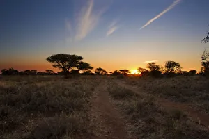 A road leading to the sunset - Kimberley South Africa A road leading to the sunset - Kimberley South Africa