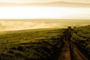 Road Through the Ngorongoro Crater