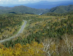 Road in Shiretoko National Park, Hokkaido, Japan Road in Shiretoko National Park, Hokkaido, Japan