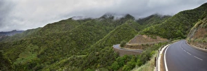 Road winding from the forest to the valley of Vallehermoso, La Gomera, Canary Islands Road winding from the forest to the valley of Vallehermoso, La Gomera, Canary Islands