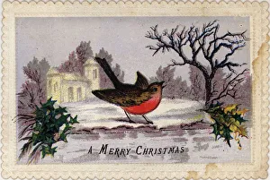 <b class=qtipBold><figcaption>Robin Redbreast</figcaption></b><br>circa 1865: A traditional Christmas robin on a Victorian greetings card. (Photo by Hulton Archive/Getty Images) Robin Redbreast