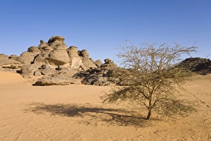 Rock formations in the Libyan Desert, Acacia, Akakus Mountains, Libya, North Africa Rock formations in the Libyan Desert, Acacia, Akakus Mountains, Libya, North Africa