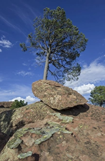 Rock formations in the Pinares de Rodeno Nature Reserve, Albarracin, Aragon, Spain Rock formations in the Pinares de Rodeno Nature Reserve, Albarracin, Aragon, Spain