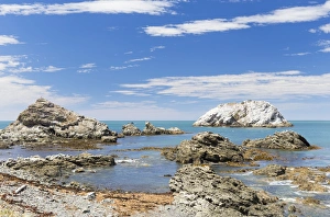 Rocky coast with a view towards Panau Island, Kaikoura, Canterbury Region, New Zealand Rocky coast with a view towards Panau Island, Kaikoura, Canterbury Region, New Zealand