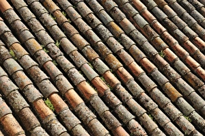 Roman roof tiles, Cathedral of Salamanca, Castile and Leon, Castilla y Leon, Spain, Europe Roman roof tiles, Cathedral of Salamanca, Castile and Leon, Castilla y Leon, Spain, Europe