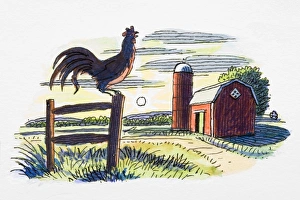 Rooster on gate post, in front of farm building and rising sun Rooster on gate post, in front of farm building and rising sun