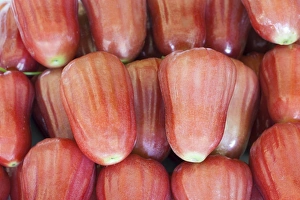 Rose apples on sale at a market, Thailand Rose apples on sale at a market, Thailand