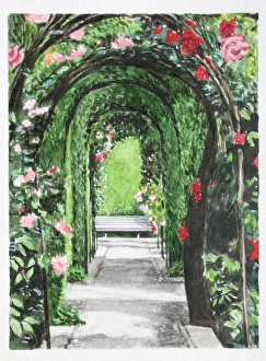 Collections/dorling kindersley prints/rose covered bower view Collections/dorling kindersley prints/rose covered bower view