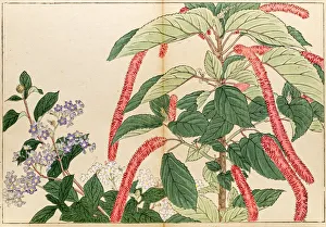 Roses japanese woodblock print Roses japanese woodblock print