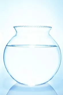Images Dated 4th March 2012: Round glass bowl filled with water