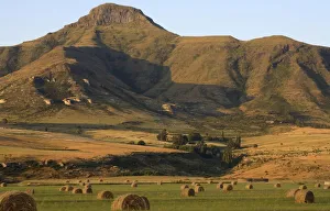 Round Hay Bales in Field with Maluti Mountain Range Behind. Clarens, Freestate Province, South Africa Round Hay Bales in Field with Maluti Mountain Range Behind. Clarens, Freestate Province, South Africa