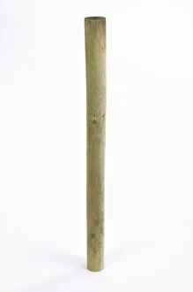 Collections/dorling kindersley prints/round wooden fencing post Collections/dorling kindersley prints/round wooden fencing post