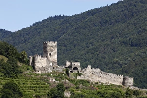 Ruine Hinterhaus castle ruins, Spitz an der Donau, Wachau, Lower Austria, Austria, Europe Ruine Hinterhaus castle ruins, Spitz an der Donau, Wachau, Lower Austria, Austria, Europe