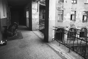 <b class=qtipBold><figcaption>Ruined Tenement House</figcaption></b><br>Gorilla sculpture lying on floor in old tenement house corridor<br><em>© Pawel Wewiorski</em> Ruined Tenement House