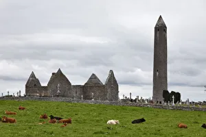 Ruins of Kilmacduagh Monastery, County Galway, Ireland, Europe Ruins of Kilmacduagh Monastery, County Galway, Ireland, Europe