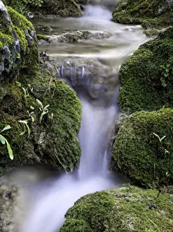 Rushing water with moss green silk effect between Rushing water with moss green silk effect between