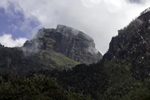 Rwenzori Mountains National Park Gallery: Rwenzori Mountain National Park, Uganda