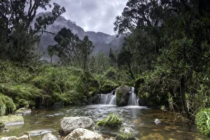 Rwenzori Mountains National Park Gallery: Rwenzori Mountains National Park, Uganda
