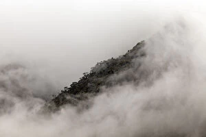Rwenzori Mountains National Park Gallery: Rwenzori Mountains, Uganda