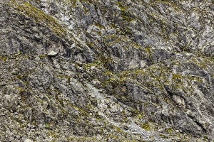 Rwenzori Mountains National Park Gallery: Rwenzori Mountains, Uganda