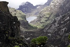 Rwenzori Mountains National Park Gallery: Rwenzori Mountains, Uganda
