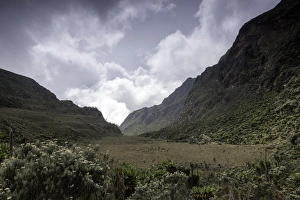 Rwenzori Mountains National Park Gallery: Rwenzori Mountains, Uganda