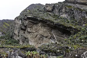 Rwenzori Mountains National Park Gallery: Rwenzori Mountains, Uganda
