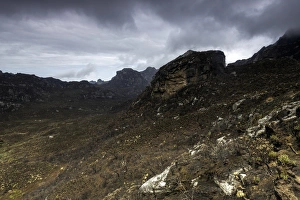 Rwenzori Mountains National Park Gallery: Rwenzori Mountains, uganda