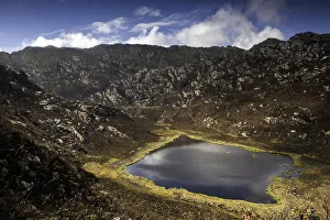 Rwenzori Mountains National Park Gallery: Rwenzori Mountains, Uganda