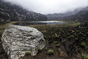Rwenzori Mountains National Park Gallery: Rwenzori Mountains, Uganda