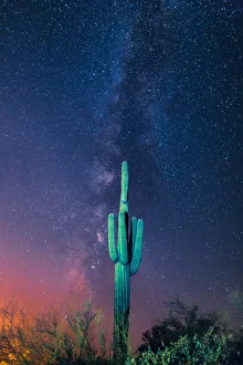 <b class=qtipBold><figcaption>saguaro cactus and the milky way</figcaption></b><br>A saguaro cactus and the milky way.<br><em>© ROBERT LOE</em> saguaro cactus and the milky way