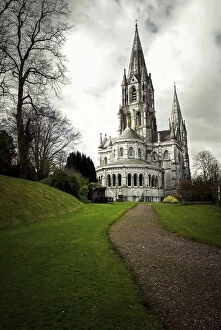 Images Dated 23rd March 2008: Saint Fin Barreas Cathedral, Cork, Ireland