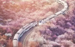 Drone Point Of View Gallery: Sakura train