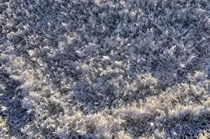 Salt crystals, shore region of the Great Salt Lake, Salt Lake City, Utah, USA Salt crystals, shore region of the Great Salt Lake, Salt Lake City, Utah, USA