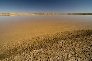 Salt flat, Kalahari Desert, Northern Cape, South Africa, Africa Salt flat, Kalahari Desert, Northern Cape, South Africa, Africa