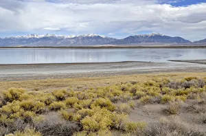 San Luis Lake, San Luis Lakes State Park, with Sangre de Christo Mountains at the rear San Luis Lake, San Luis Lakes State Park, with Sangre de Christo Mountains at the rear