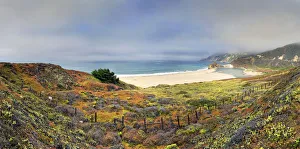 Sand beach on the California Pacific coast, near Point Sur, California, United States Sand beach on the California Pacific coast, near Point Sur, California, United States