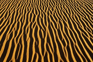 Sand patterns on a dune, In Tehak region, Acacus Mountains or Tadrart Acacus range, Tassili nAjjer National Park Sand patterns on a dune, In Tehak region, Acacus Mountains or Tadrart Acacus range, Tassili nAjjer National Park