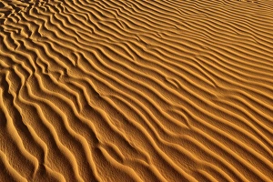 Sand ripples, sand dunes of Erg Mehejibad, Erg Mehejibad, Immidir or Mouydir, Sahara Sand ripples, sand dunes of Erg Mehejibad, Erg Mehejibad, Immidir or Mouydir, Sahara