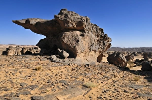 Sandstone rock formation on Tasset Plateau, Tassili n'Ajjer National Park, Unesco World Heritage Site Sandstone rock formation on Tasset Plateau, Tassili n'Ajjer National Park, Unesco World Heritage Site