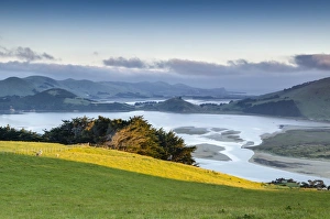 Saturated green pasture in front of tidal inlet, Hoopers Inlet, Otago Region Saturated green pasture in front of tidal inlet, Hoopers Inlet, Otago Region