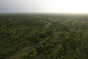 savanna woodland, doka, dambos, vista, afternoon light, colour image, northern cameroon