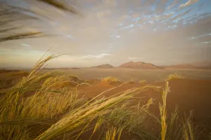 Scenic sunset view of desert landscape from Elim Dune, Namib-Naukluft National Park Scenic sunset view of desert landscape from Elim Dune, Namib-Naukluft National Park