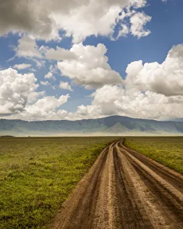 Scenic view of landscape with dirt road, Ngorongoro Crater, Tanzania Scenic view of landscape with dirt road, Ngorongoro Crater, Tanzania