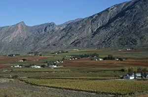 Images Dated 23rd February 2006: Scenic View of Vineyards Against the Slopes of the Mountains